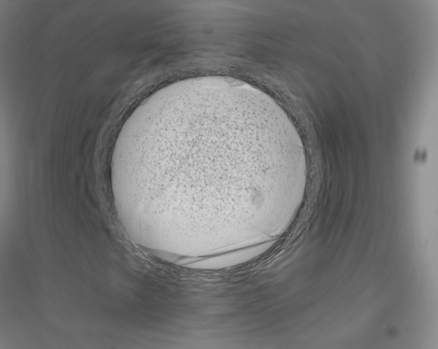 X0000116811249201001291554