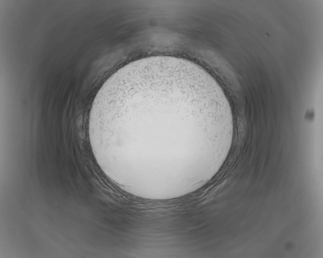 X0000116811250201001291554
