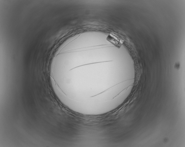 X0000116811253201001291554