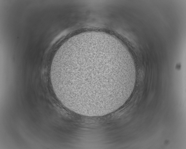 X0000116811254201001291554