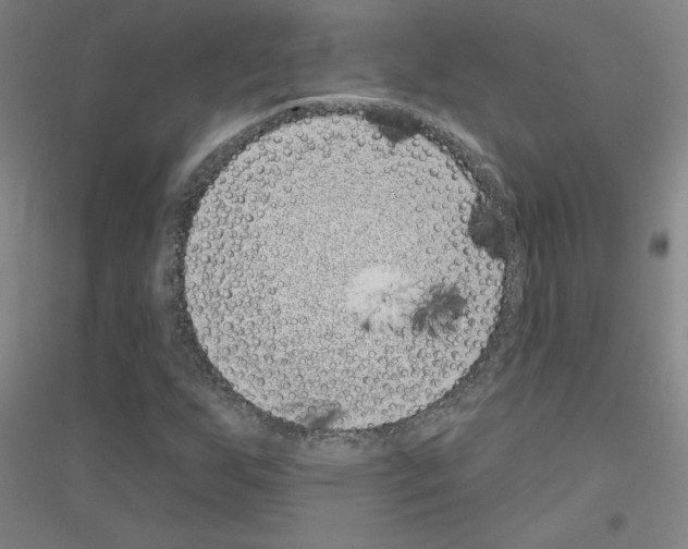 X0000116811255201001291554