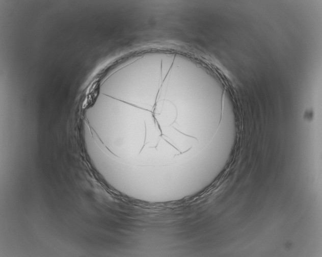 X0000116811256201001291554