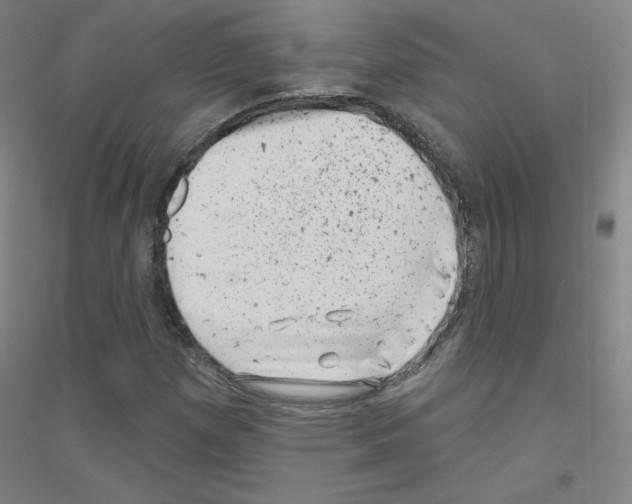 X0000116811257201001291554