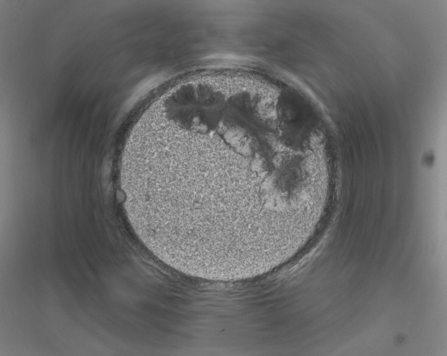 X0000116811259201001291554