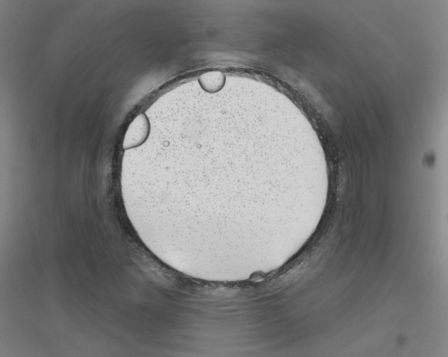 X0000116811261201001291554