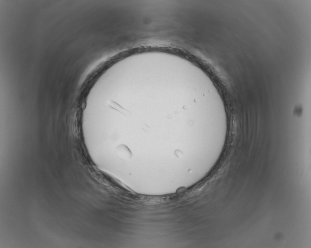 X0000116811262201001291554