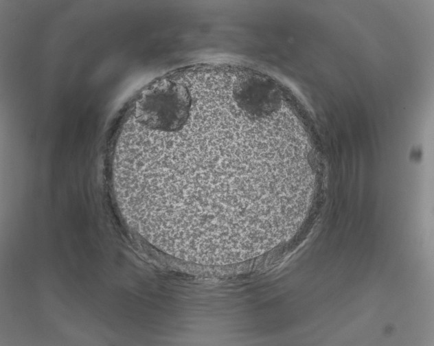 X0000116811263201001291554