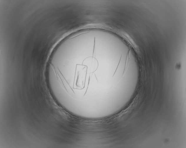 X0000116811268201001291554