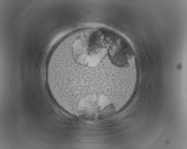 X0000116811271201001291554