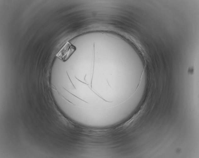X0000116811273201001291554
