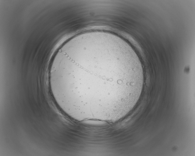 X0000116811274201001291554