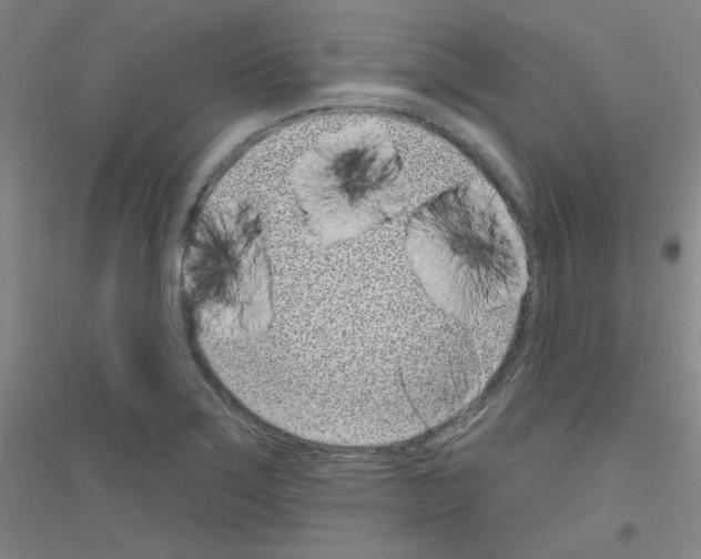 X0000116811275201001291553