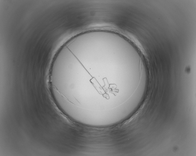 X0000116811277201001291553