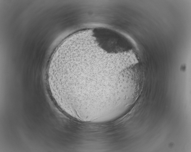 X0000116811279201001291553