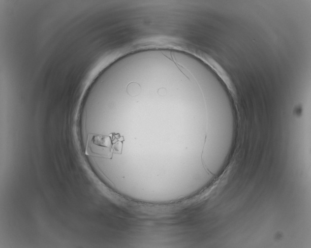 X0000116811285201001291553