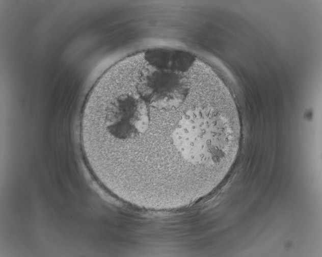 X0000116811287201001291553
