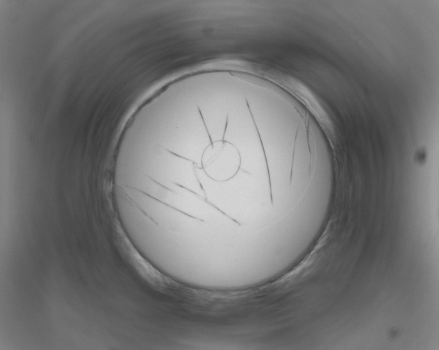 X0000116811292201001291553