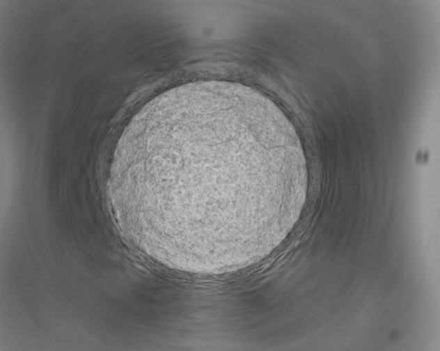 X0000116811297201001291553