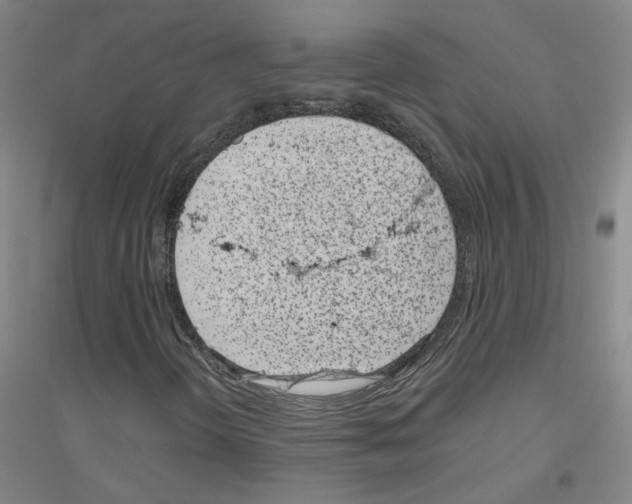 X0000116811298201001291553