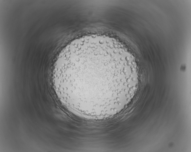 X0000116811299201001291553