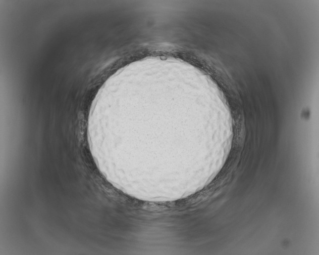 X0000116811301201001291553