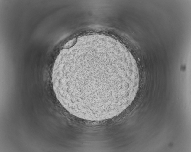 X0000116811302201001291553