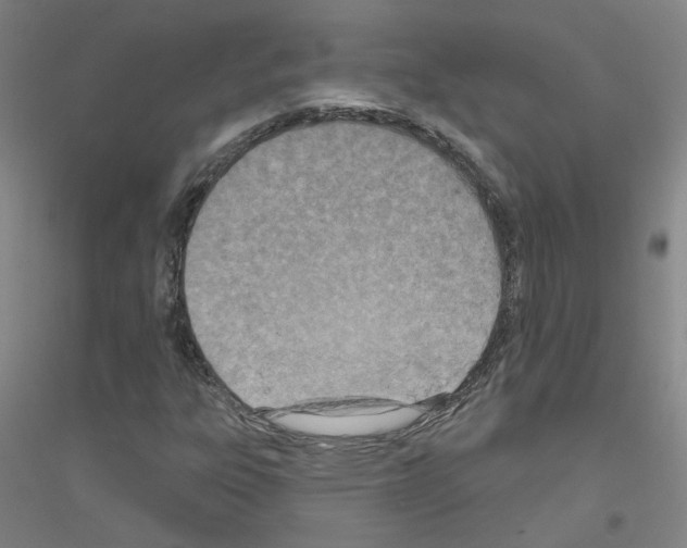 X0000116811303201001291553