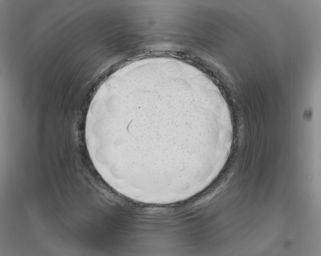 X0000116811305201001291553