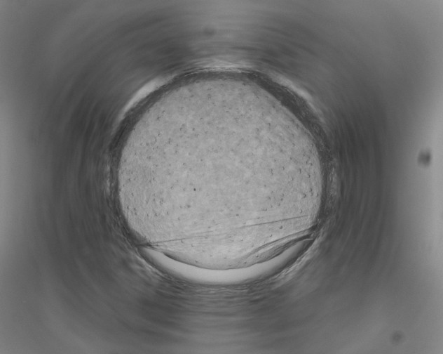 X0000116811306201001291553