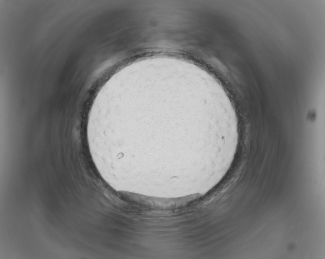 X0000116811307201001291553