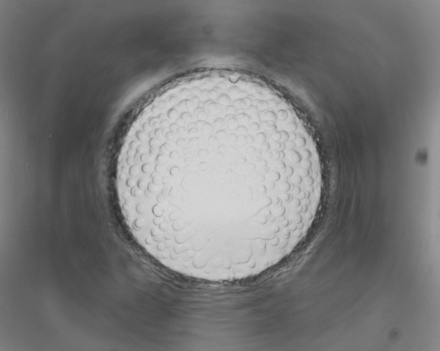 X0000116811311201001291553