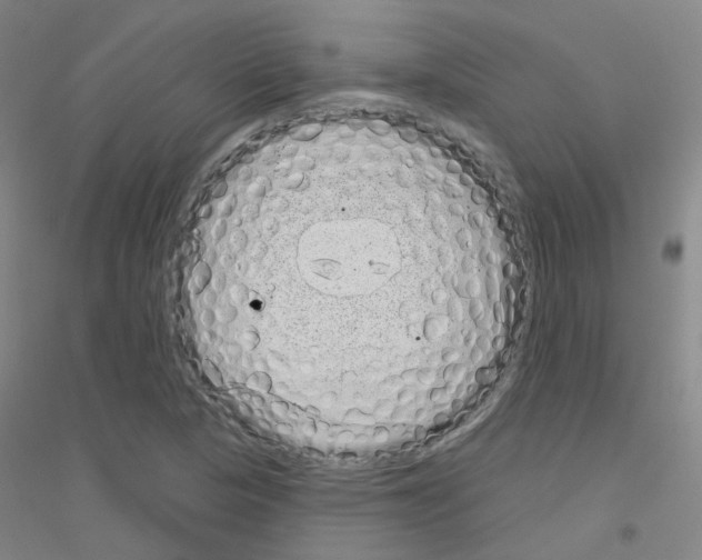 X0000116811313201001291553