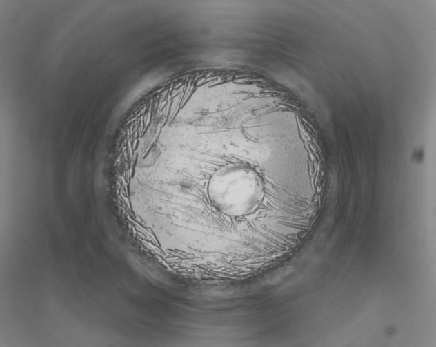 X0000116811314201001291553
