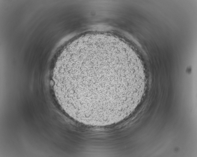 X0000116811315201001291553