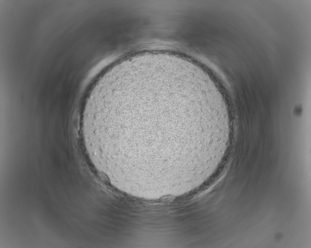 X0000116811317201001291553