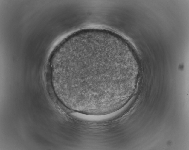 X0000116811319201001291553