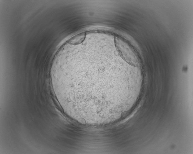X0000116811321201001291553