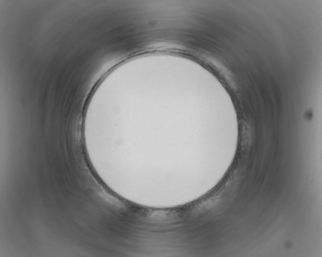 X0000116811322201001291553