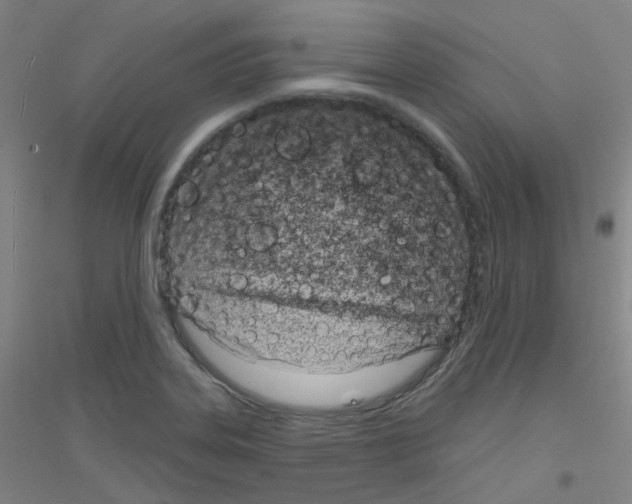 X0000116811323201001291553