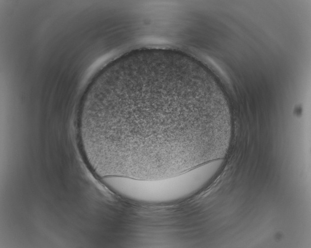 X0000116811327201001291553