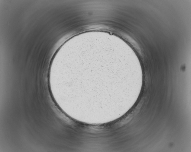 X0000116811330201001291553