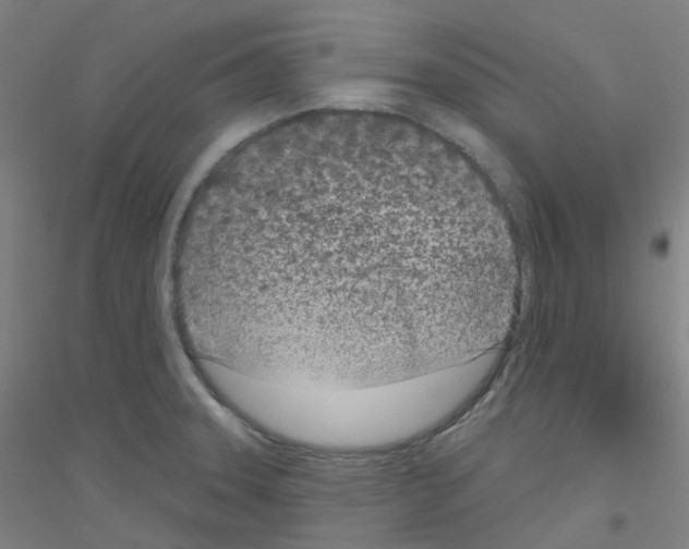 X0000116811331201001291553