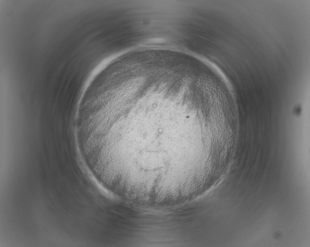 X0000116811333201001291553