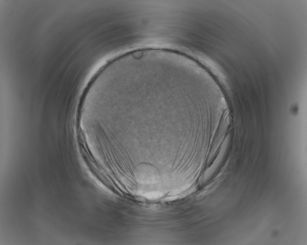X0000116811334201001291553