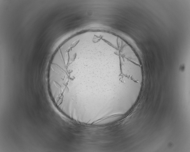 X0000116811335201001291553