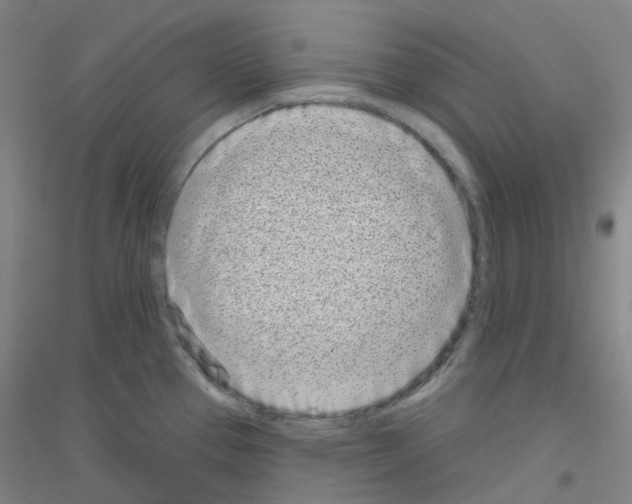 X0000116811337201001291553