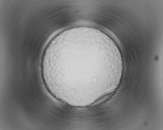 X0000116811339201001291553