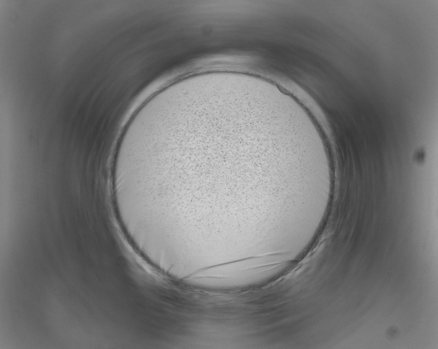 X0000116811341201001291553