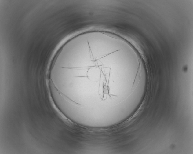 X0000116811342201001291553