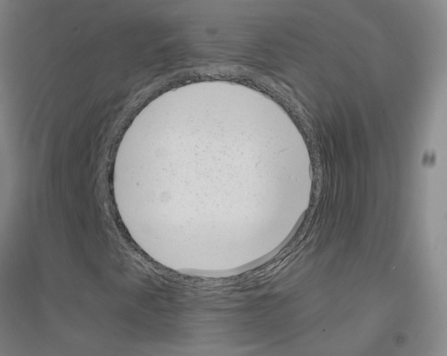 X0000116811345201001291553